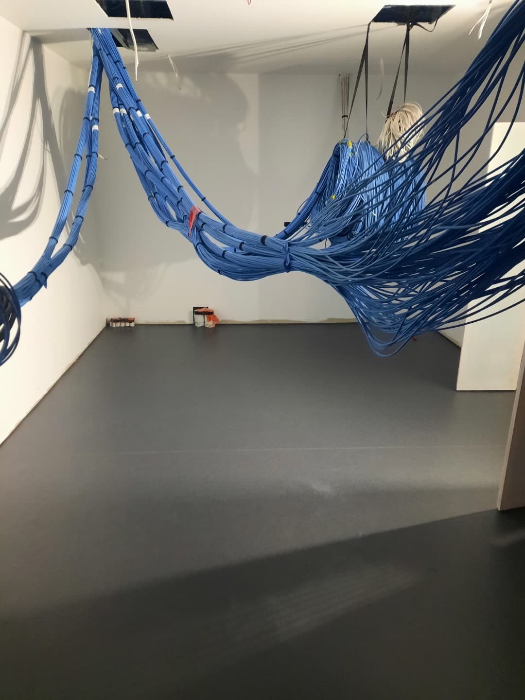 Dark carpet laid across main open area with mass of blue data cabling suspended above from exposed ceiling frame