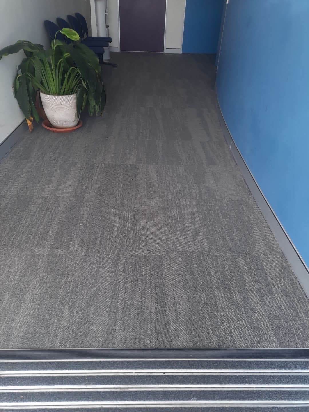 Office entry foyer with charcoal carpet tiles, blue accent wall and indoor plant