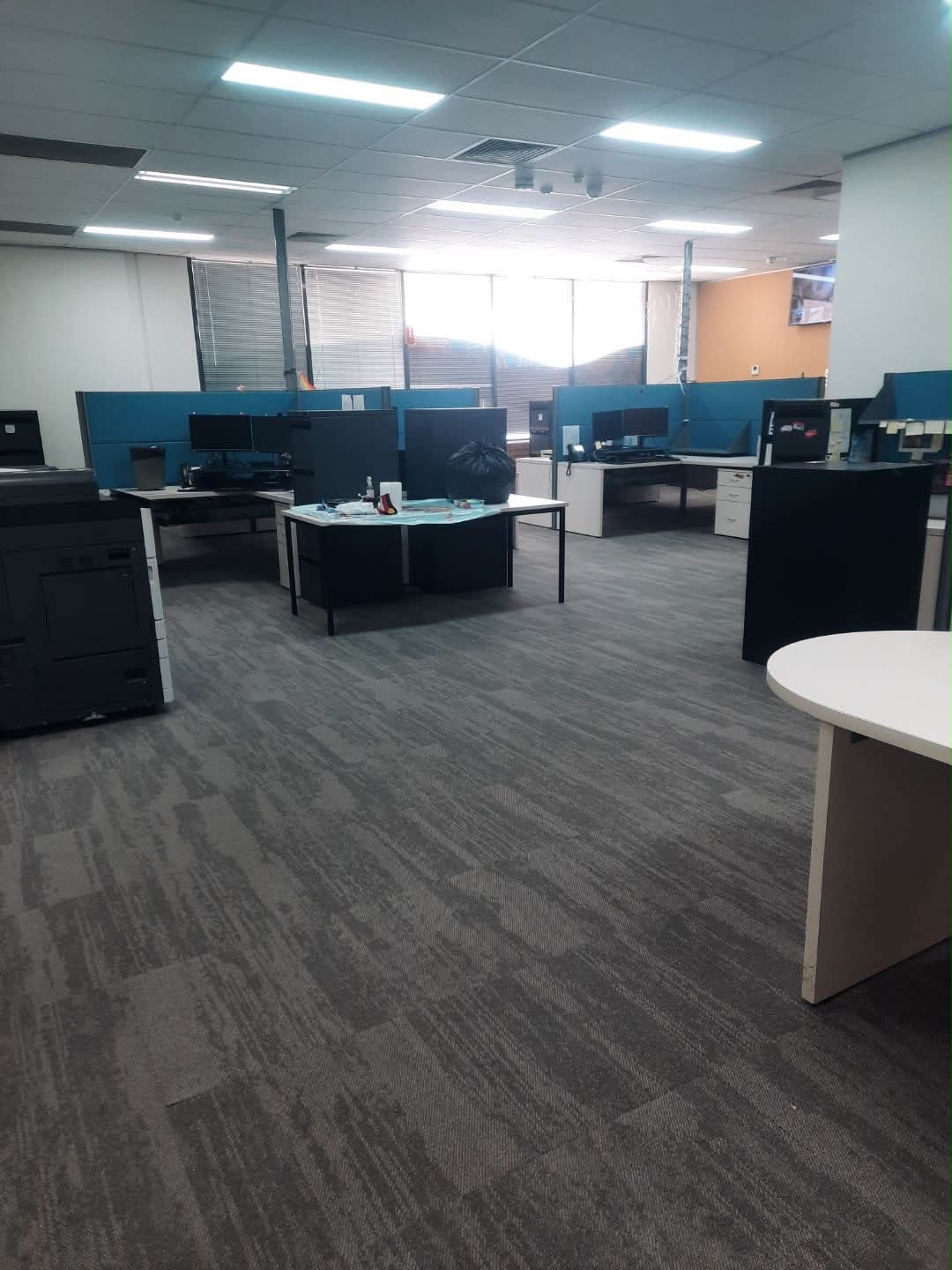 Large open-plan workstation area with dark charcoal carpet tiles and blue cubicle dividers — Moree commercial office