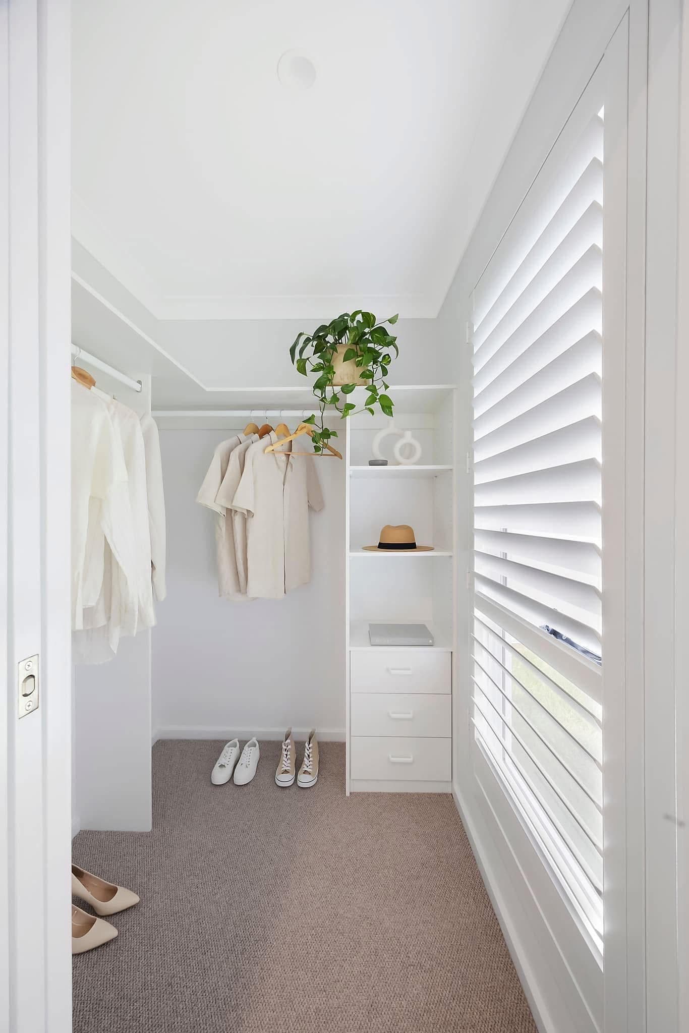 Walk-in wardrobe with light carpet, plantation shutters and built-in shelving